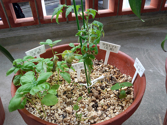 PIC20130530.jpg